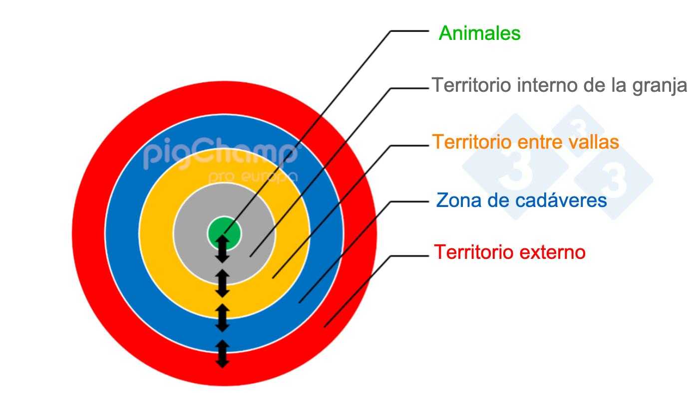 Una representación esquemática de la ordenación de la bioseguridad de una granja en anillos. 